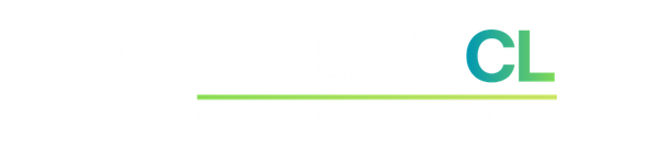 Vivexa.cl